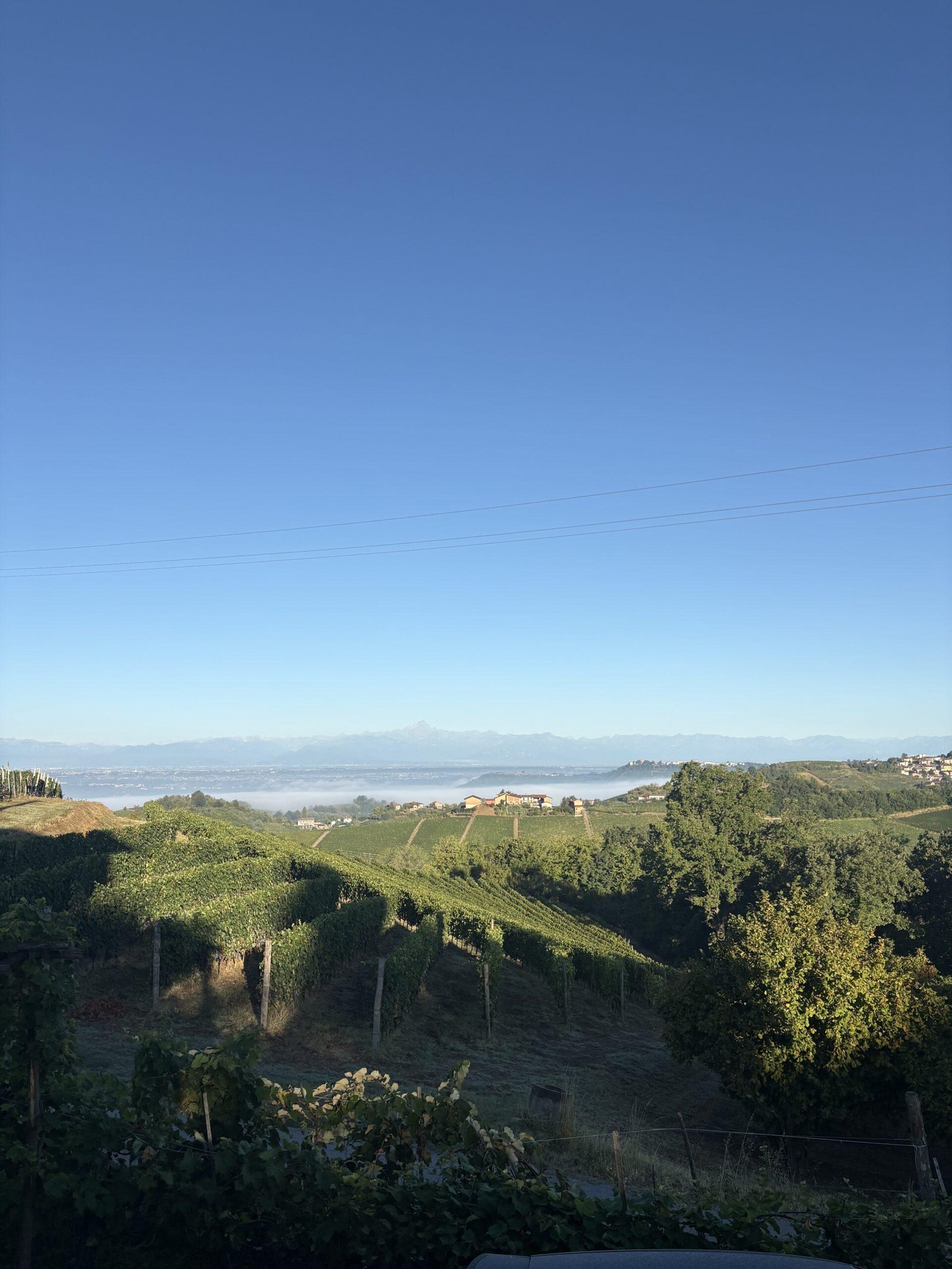 heuvels piemonte casa rinaldi
