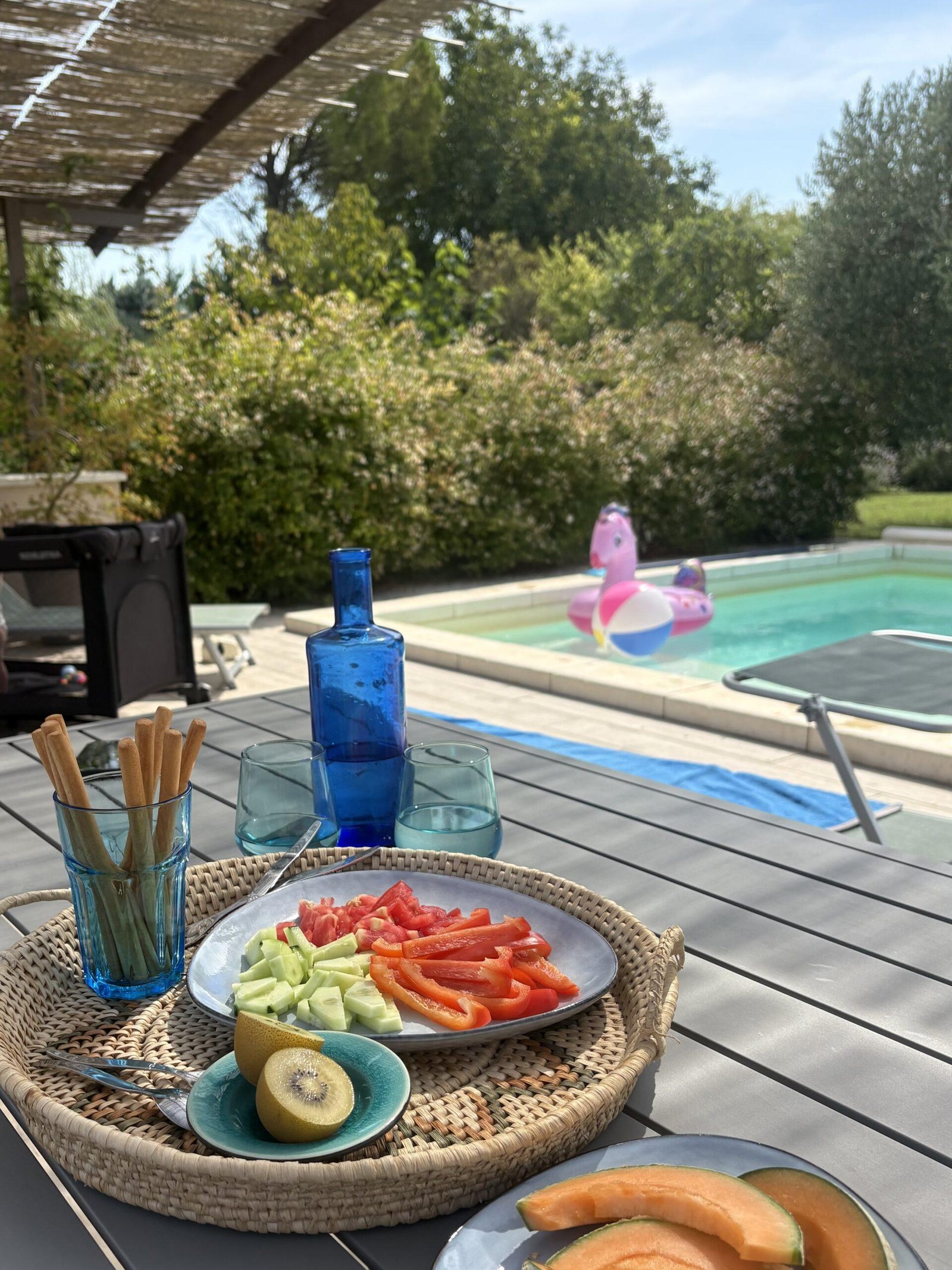 vakantiehuis zuid frankrijk met zwembad