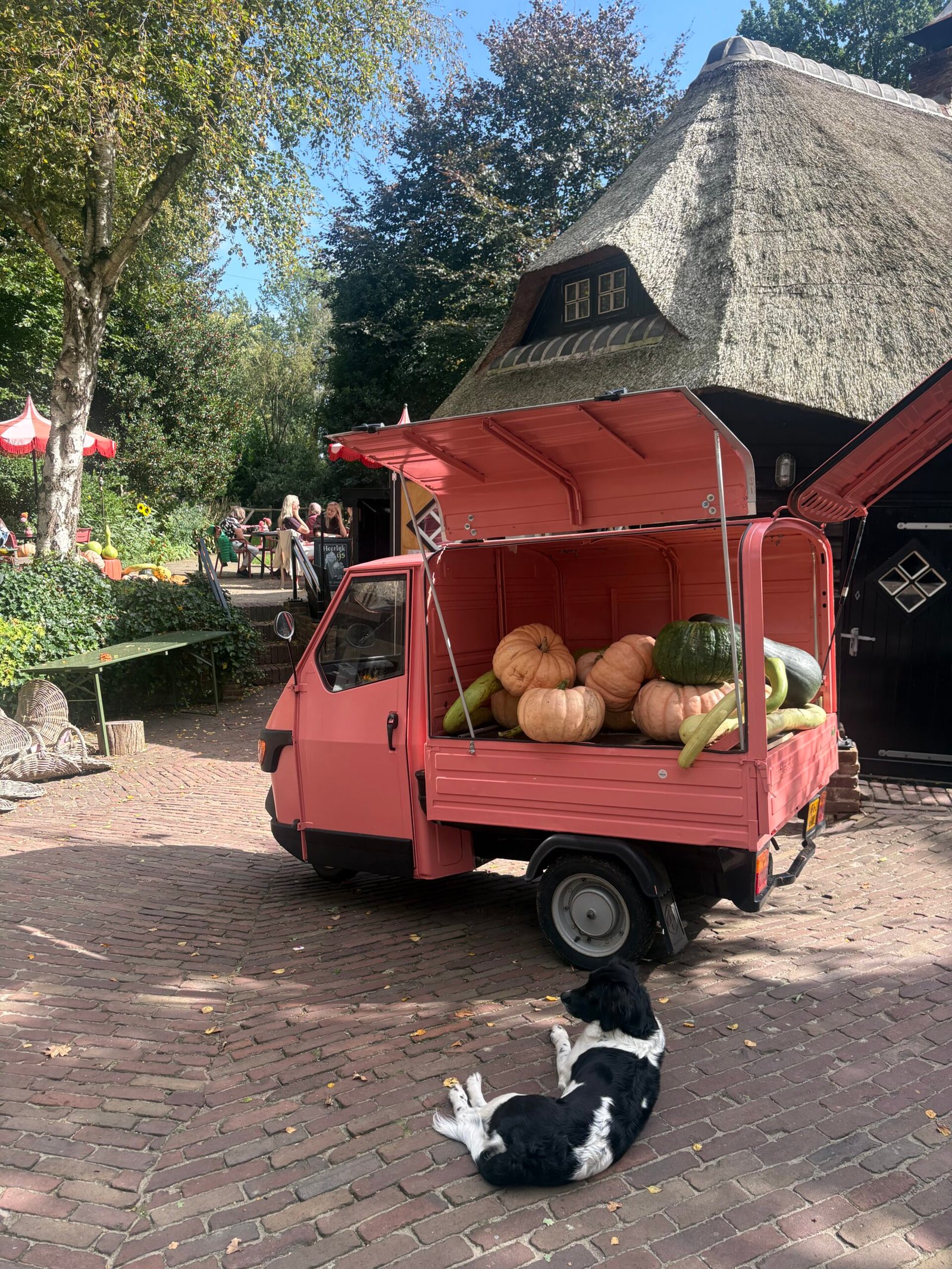 Pluck Elke Dag in Witharen met pluktuin, beeldentuin en sfeervolle landelijke omgeving