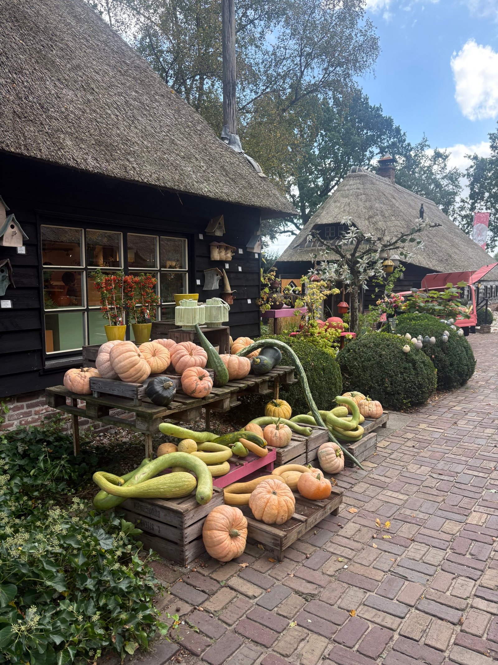 Pluck Elke Dag in Witharen met pluktuin, beeldentuin en sfeervolle landelijke omgeving